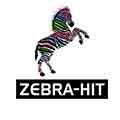 Zebra Hit Logo