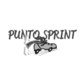 Punto Sprint Logo